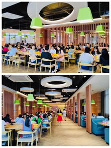 我校大学城校区食堂荣膺广东省餐饮服务食品安全等级A级单位